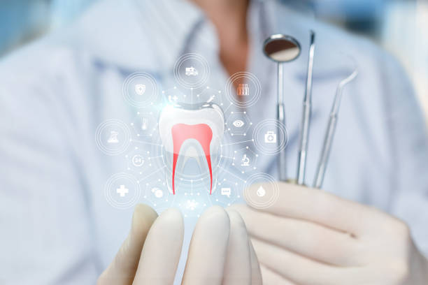 Washington, DC Holistic Dental Care Services Company